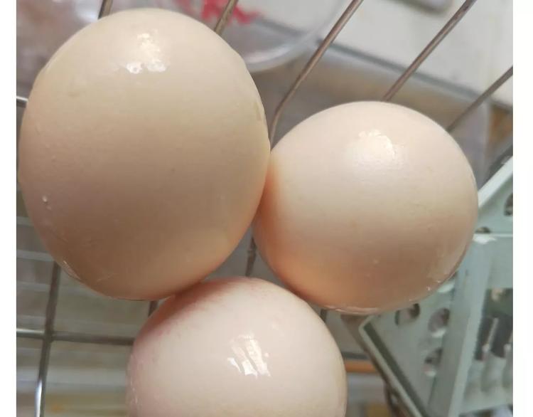 《毁灭宇宙》仙女蒸蛋糕 第8页