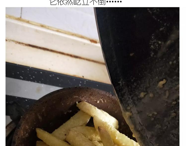 《毁灭宇宙》仙女的糖衣炮弹 第39页