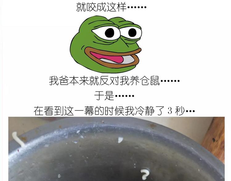 《毁灭宇宙》仙女的蛋包面 第23页