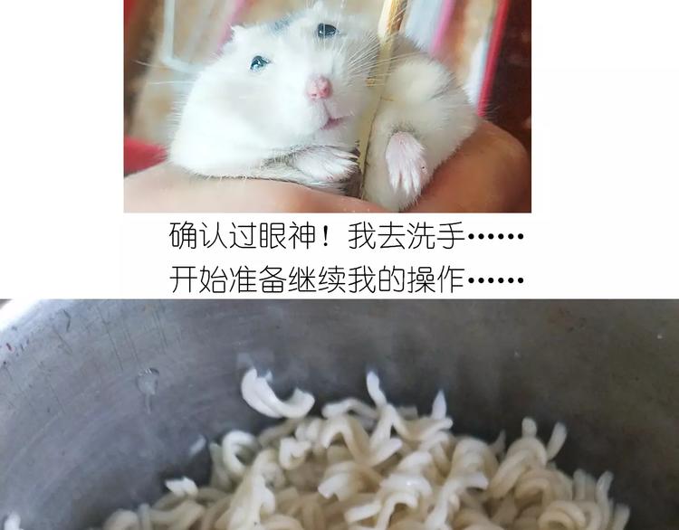 《毁灭宇宙》仙女的蛋包面 第26页
