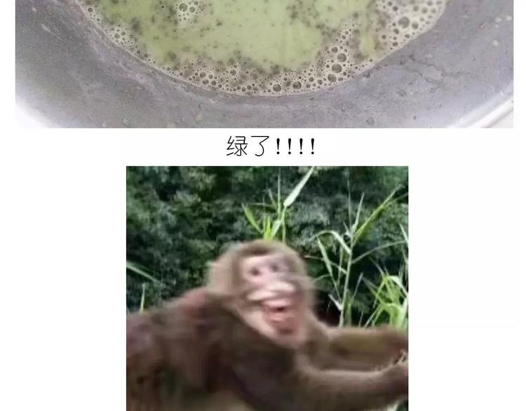 《毁灭宇宙》抹布蛋糕 第18页