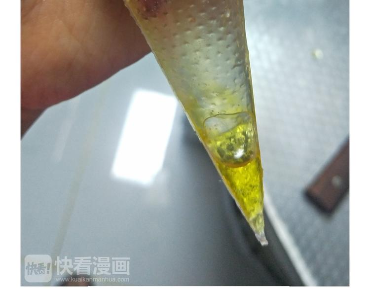 《毁灭宇宙》仙女星冰粽 第30页