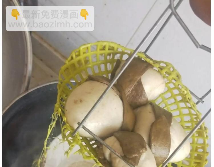 《毁灭宇宙》粽子君 第24页