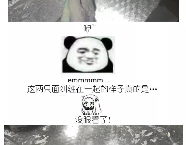 《毁灭宇宙》仙女的星空 第28页