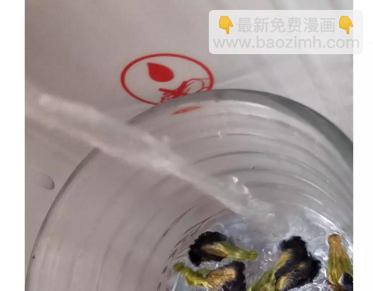 《毁灭宇宙》仙女的星空 第6页