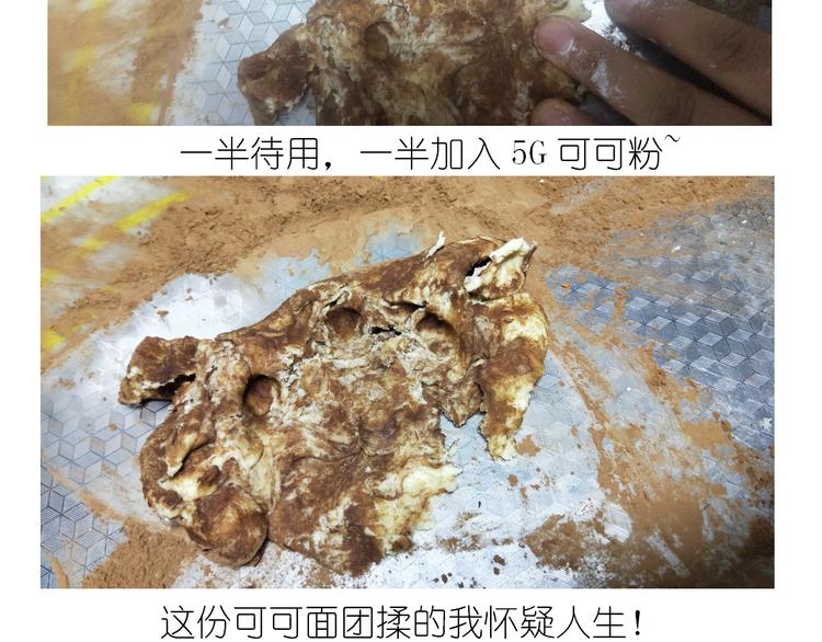 《毁灭宇宙》小仙女的布朗熊饼干 第16页