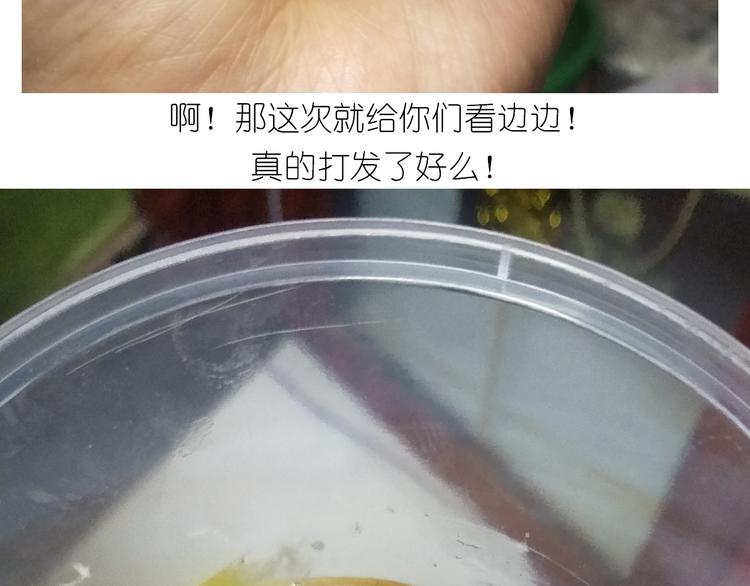 《毁灭宇宙》钢琴女孩蛋糕 第18页