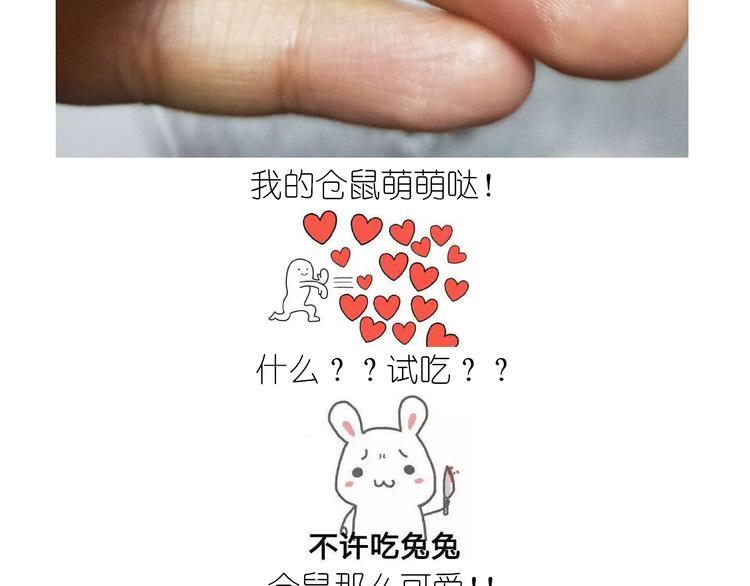《毁灭宇宙》仙女全麦兔仓鼠饼 第34页