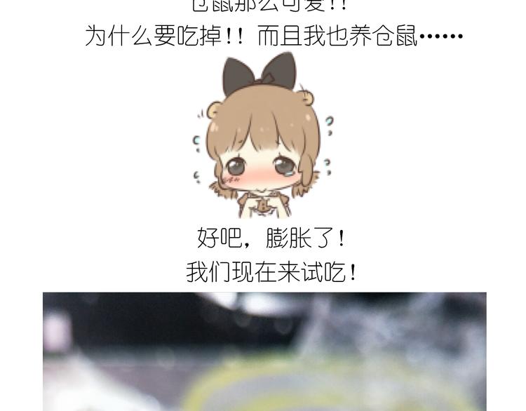 《毁灭宇宙》仙女全麦兔仓鼠饼 第35页