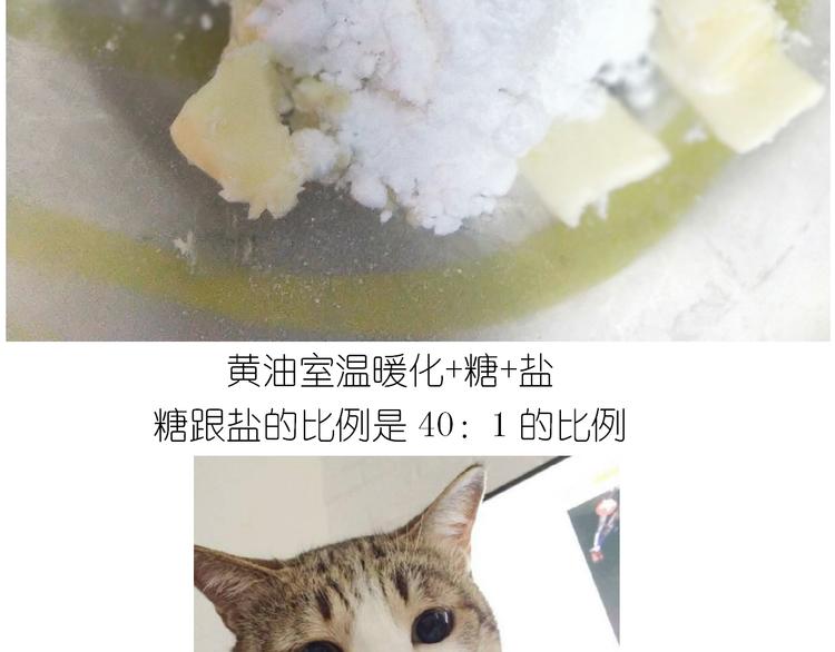 《毁灭宇宙》仙女全麦兔仓鼠饼 第7页