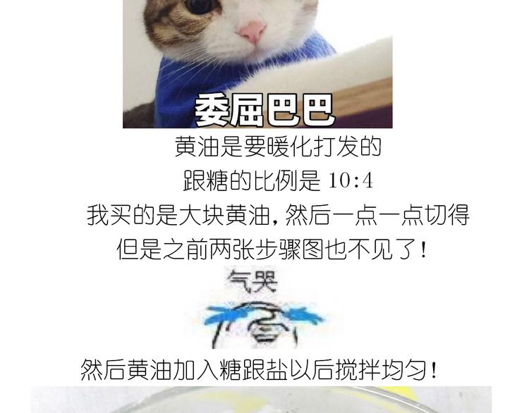 《毁灭宇宙》仙女全麦兔仓鼠饼 第8页