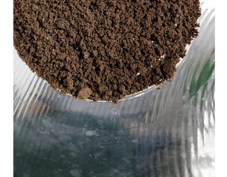 《毁灭宇宙》仙女花朵浪漫慕斯蛋糕 第8页
