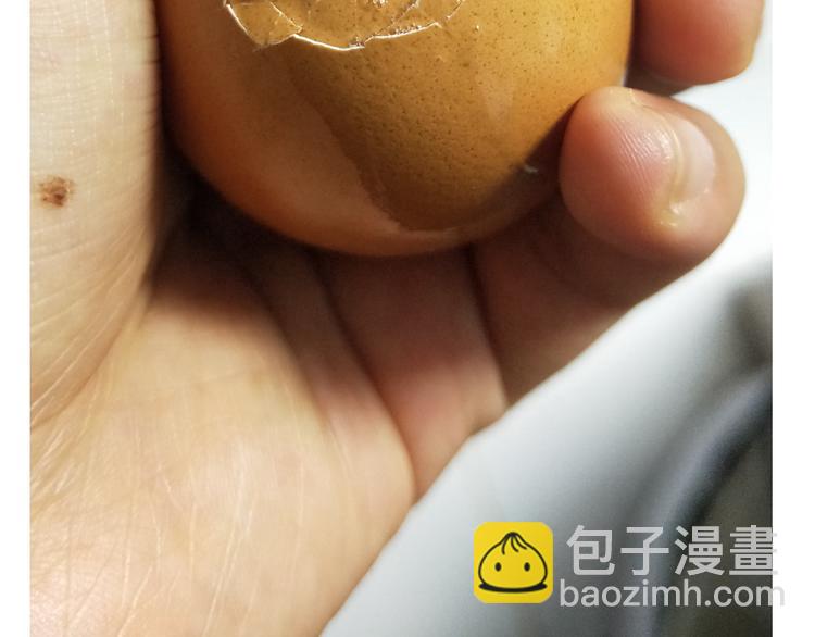 《毁灭宇宙》仙女黄金蛋 第17页