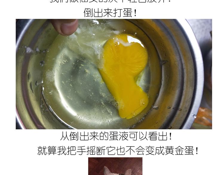 《毁灭宇宙》仙女黄金蛋 第21页