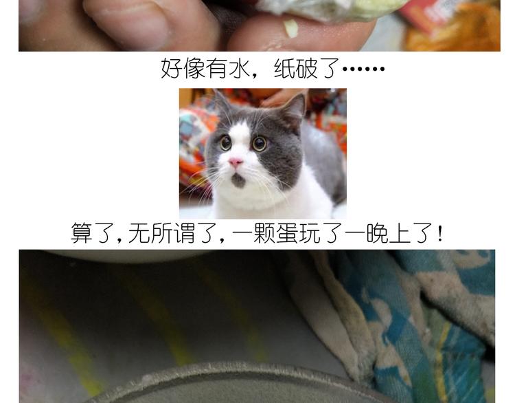《毁灭宇宙》仙女黄金蛋 第48页