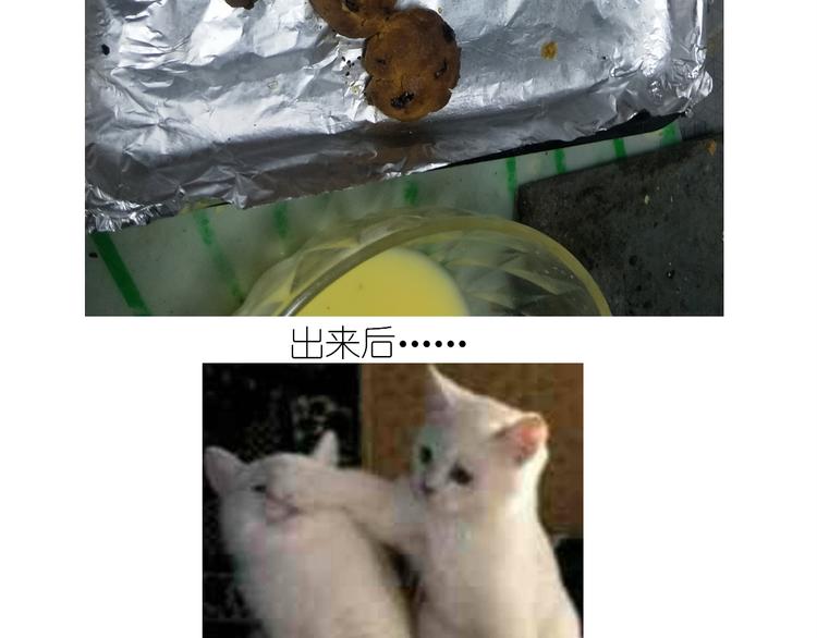 《毁灭宇宙》仙女蔓越莓奶酥 第28页