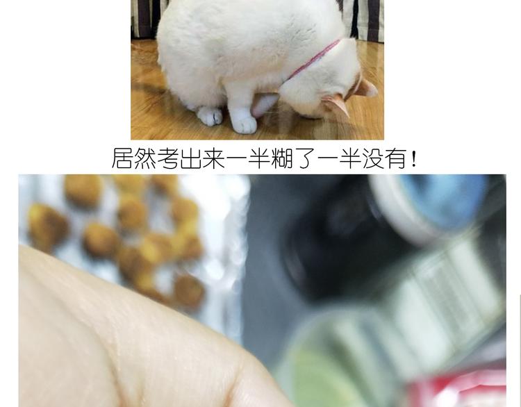 《毁灭宇宙》仙女蔓越莓奶酥 第30页