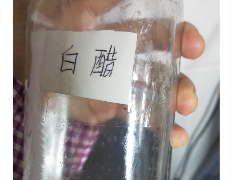 《毁灭宇宙》仙女酸奶蛋糕 第16页
