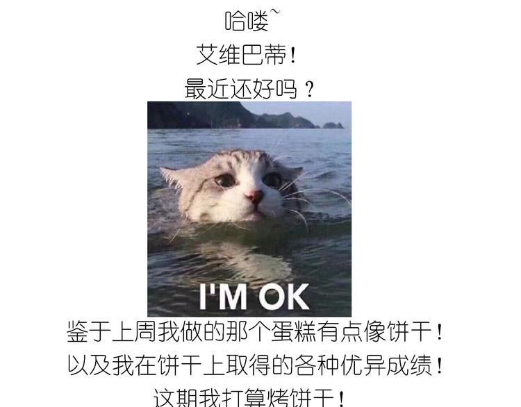 《毁灭宇宙》仙女圣诞饼干 第1页