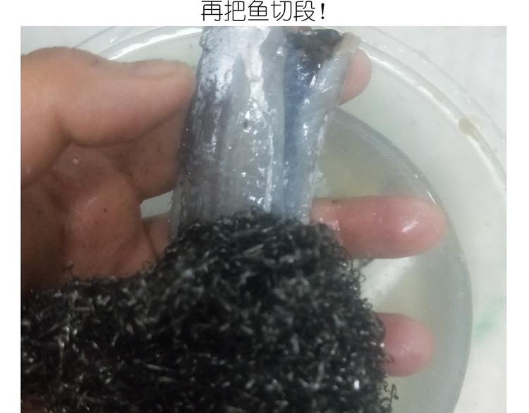 《毁灭宇宙》仙女新年菜系红烧带鱼 第7页