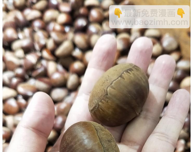 《毁灭宇宙》仙女新年不方便泡面 第3页