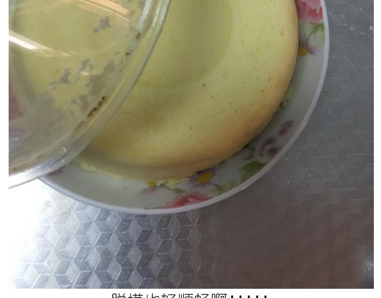 《毁灭宇宙》仙女酸奶巅峰蛋糕 第44页