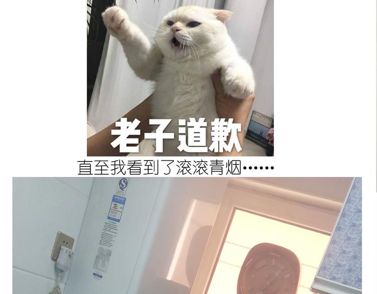 《毁灭宇宙》仙女的罗马盾饼干 第34页