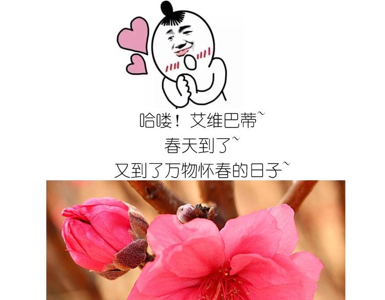 《毁灭宇宙》仙女的小桃花 第1页