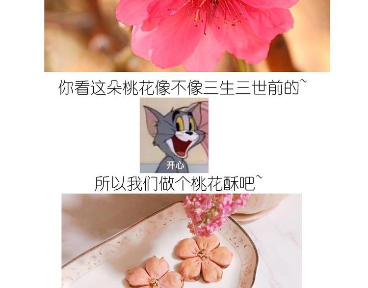 《毁灭宇宙》仙女的小桃花 第2页
