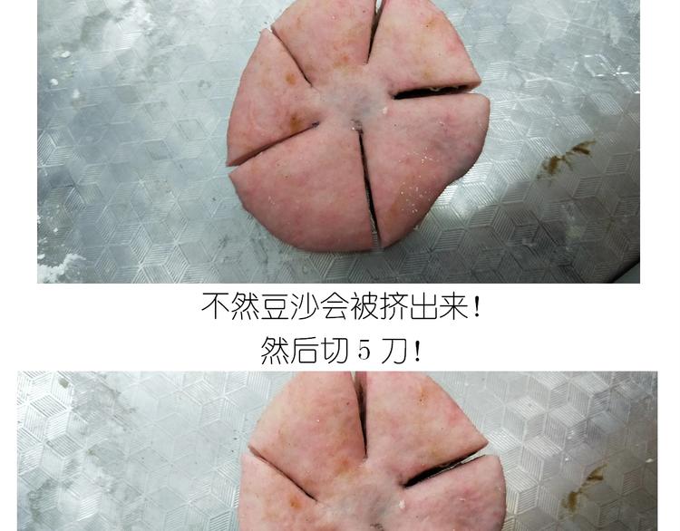 《毁灭宇宙》仙女的小桃花 第30页