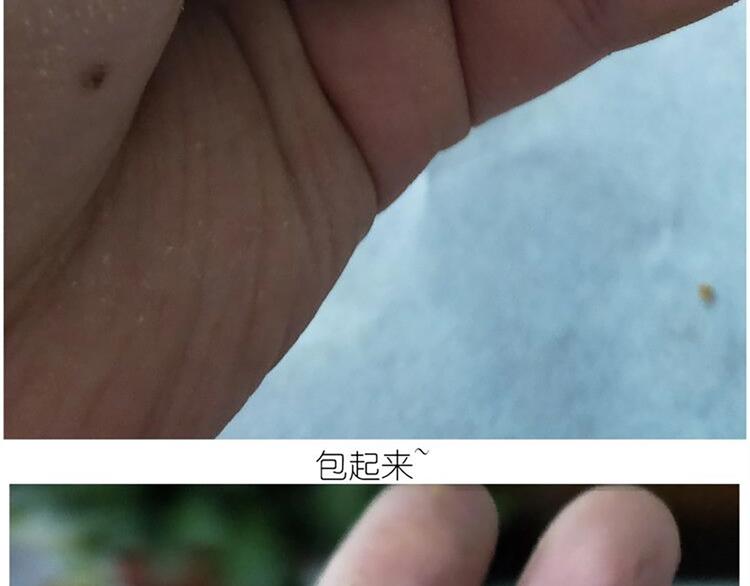《毁灭宇宙》仙女的青团 第33页