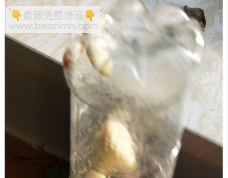 《毁灭宇宙》仙女的油泼面 第20页