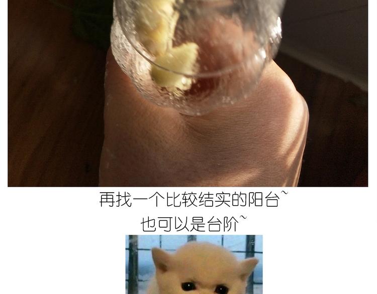 《毁灭宇宙》仙女的油泼面 第21页
