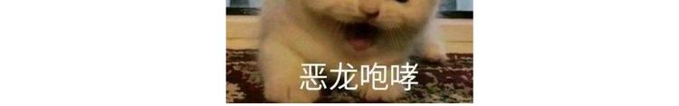 《毁灭宇宙》仙女的油泼面 第22页