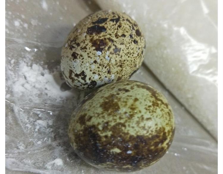《毁灭宇宙》仙女的魔法饼干 第13页