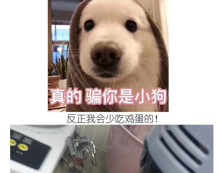 《毁灭宇宙》仙女的蜂窝煤 第26页