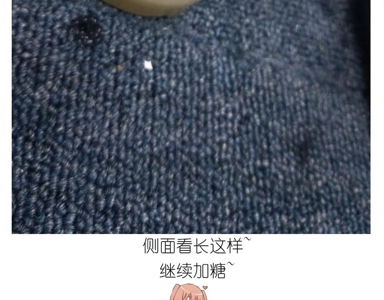 《毁灭宇宙》仙女的蜂窝煤 第40页
