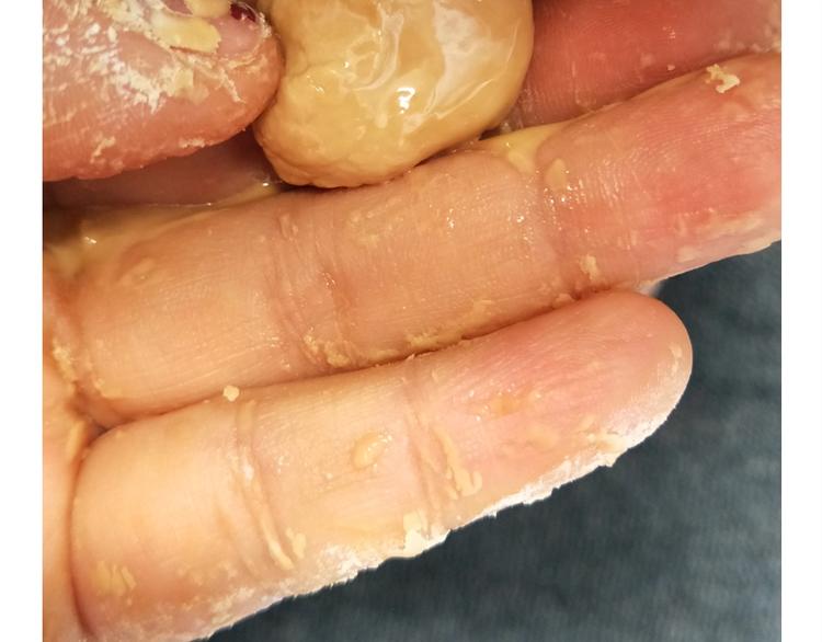 《毁灭宇宙》仙女的珍珠奶茶 第37页