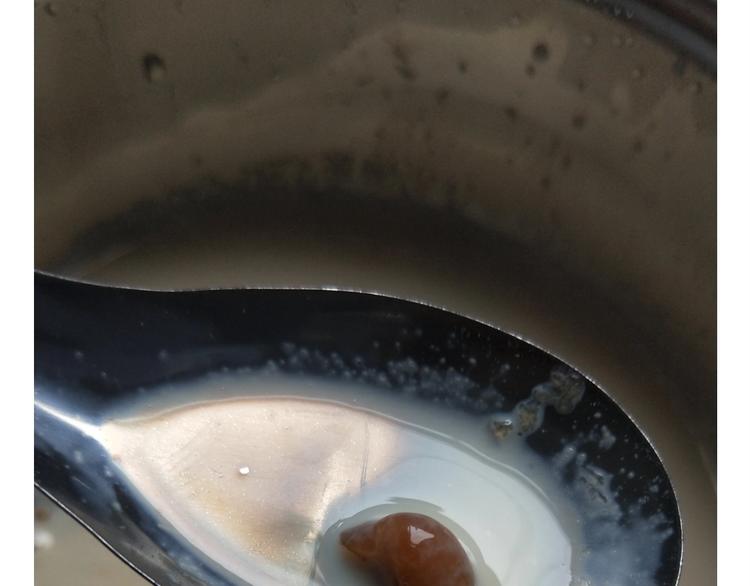 《毁灭宇宙》仙女的珍珠奶茶 第47页