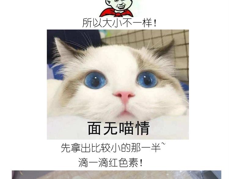 《毁灭宇宙》仙女的狗子 第40页