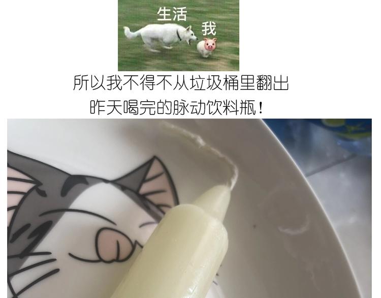 《毁灭宇宙》仙女减肥炒饭 第17页