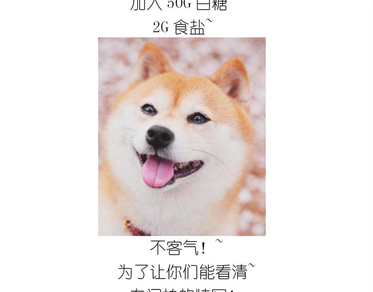 《毁灭宇宙》仙女三不沾 第13页