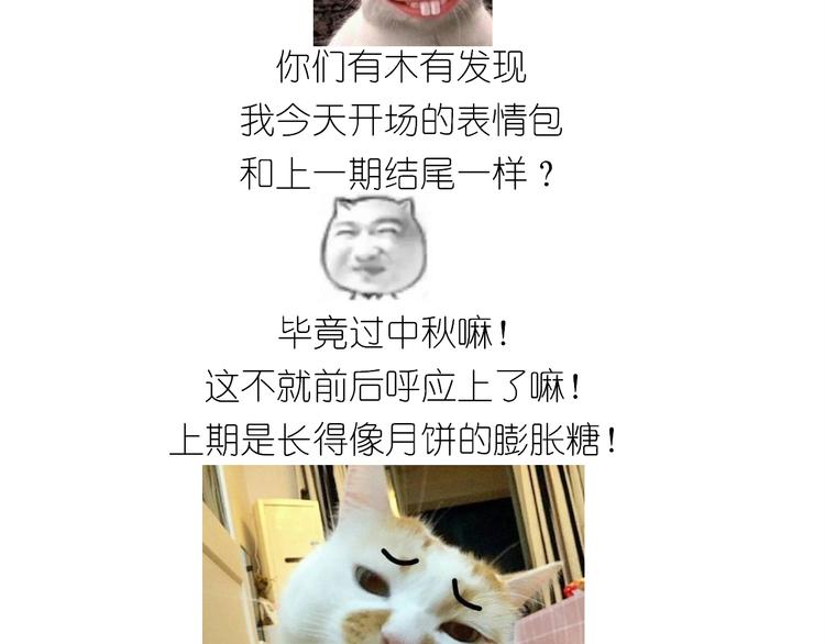 《毁灭宇宙》仙女三不沾 第2页