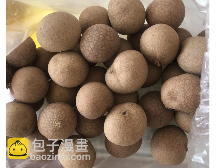 《毁灭宇宙》仙女的切糕 第17页