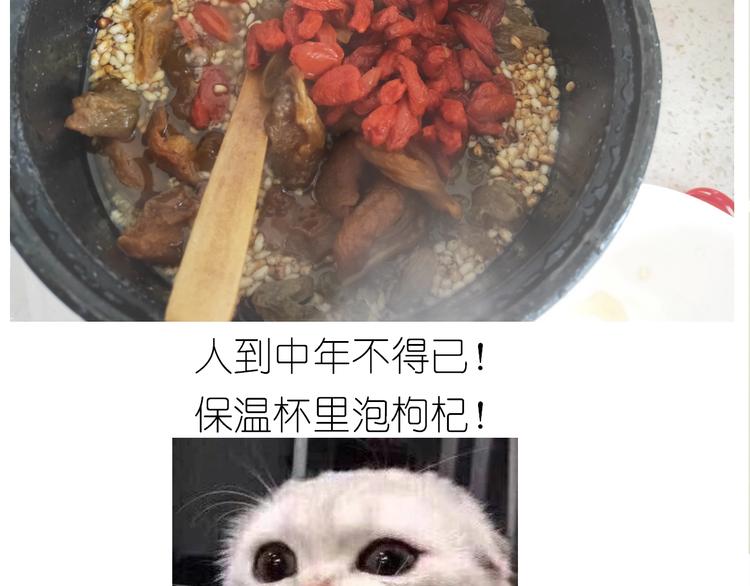 《毁灭宇宙》仙女的切糕 第42页