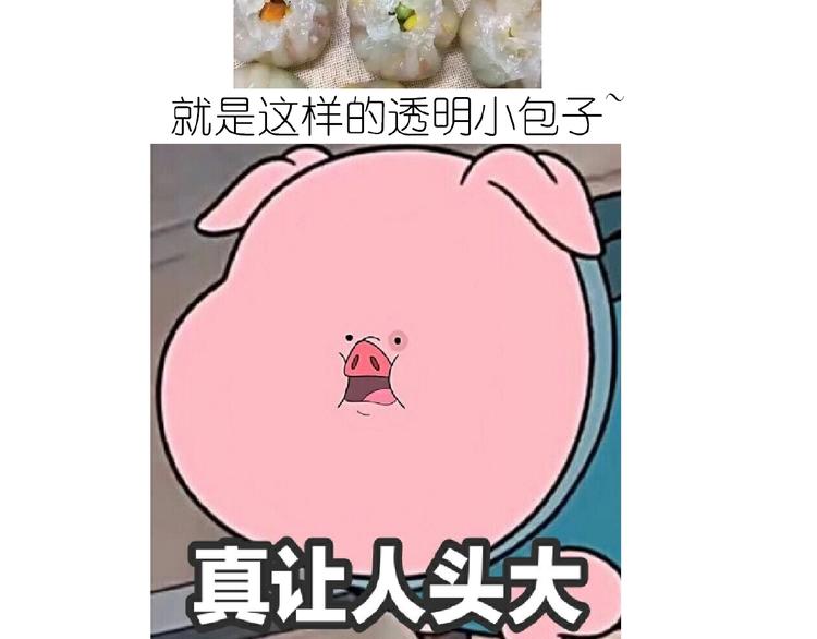 《毁灭宇宙》仙女水晶包 第2页