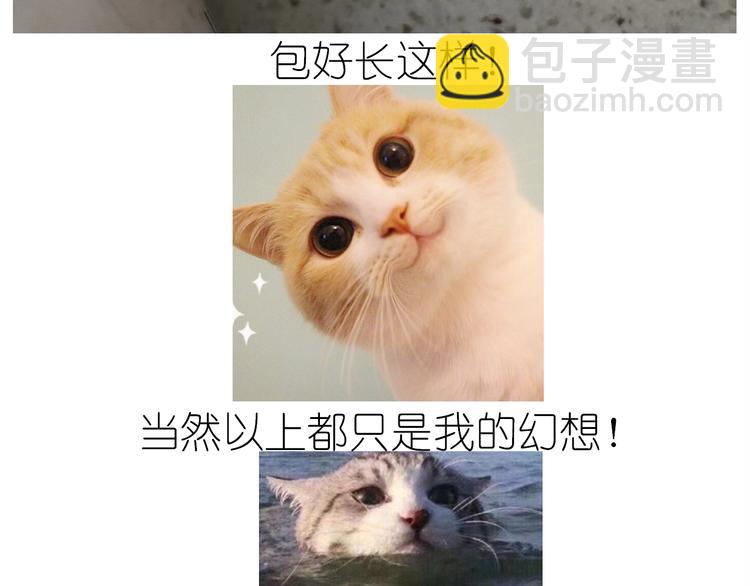 《毁灭宇宙》仙女水晶包 第41页