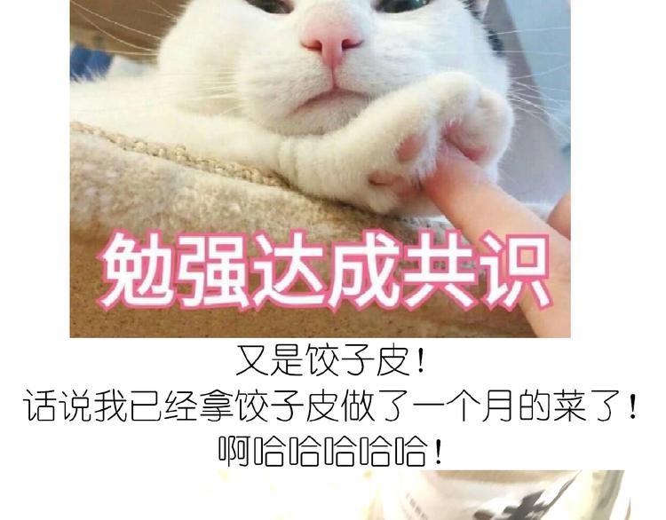 《毁灭宇宙》仙女水晶包 第7页
