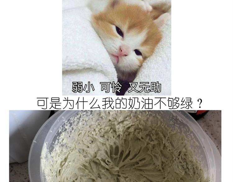 《毁灭宇宙》仙女的抹茶蛋糕 第18页