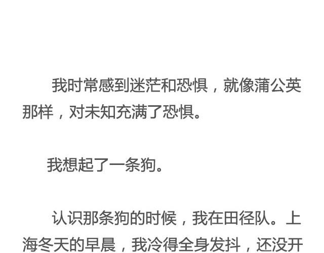 《轻文字》像狗一样奔跑@里则林 第4页